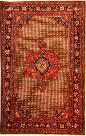Hand Made Persian VATAN, SENE Wool 6'11" x 10'10" Ivory