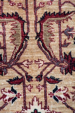 Hand Knotted Pakistan Sultanabad Wool 100% 8'4" x 10' Gold